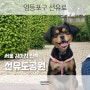 서울 강아지 산책 선유도공원 뚜벅이 추천!