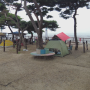 갯벌체험 가능한 강화도 동막해변 해수욕장 캠핑장