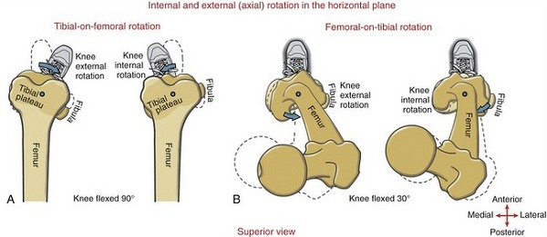 Underrated joint motion -Tibiofemoral internal rotation (ft. Dave ...