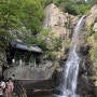 [국내여행] 부산 근교 주말 당일치기 가볼만한 곳, 양산 홍룡폭포