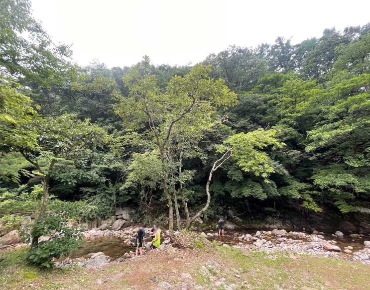 경기 광주 흰 여울 펜션, 계곡펜션 천진암계곡, 단체여행 추천 : 네이버 블로그
