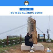 해운대 장산 개방 정상 여름 등산 코스 덥다