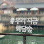 화담숲 곤지암 수목원 가족나들이 당일치기 서울근교 자작나무숲 hwadamsup, nearby Seoul, korea