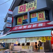 강릉 중앙시장 맛집 도마횟집과 배니닭강정 !