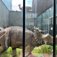 헤이리 아기랑 가볼만한 공룡박물관