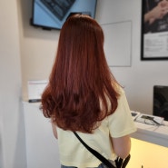 2022 로이드밤 레드브라운 여자 긴머리 염색 추천 (레이어드컷, 레이어드펌)