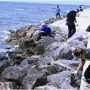 국제위러브유(장길자회장)미국플로리다주 탬파 해변 클린월드운동은? 해양환경 지키기