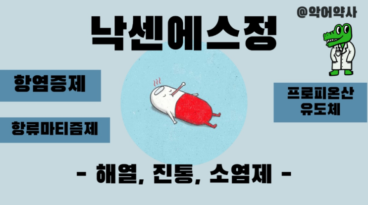 종근당 낙센에스정 500/20mg 소염진통제 차이점 보면 : 네이버 블로그