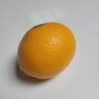 오렌지껍질 일반쓰레기 분리수거, 오렌지세척 베이킹(고르기)
