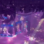 홍콩 아이돌 콘서트 사고 대형 스크린 떨어져 중태