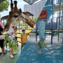 중국 후저우 동물원 & 워터파크 아이와 가볼만한곳 추천 (ZOO HOTEL)