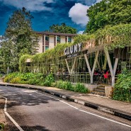 Clony│Singapore Botanic Garden