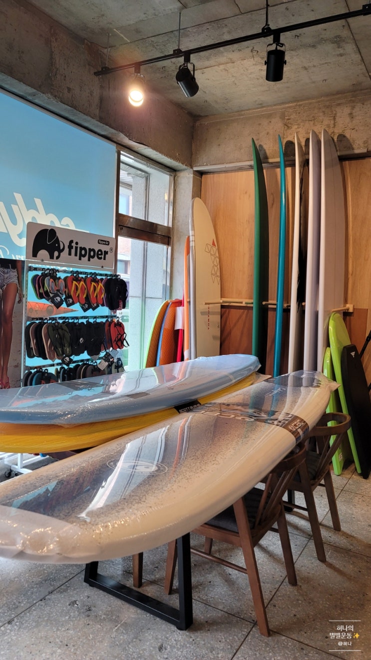 서핑보드 구매 과정 - 가격, 부력, 9피트, 10피트 : 네이버 블로그