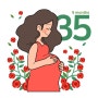 임신 35주차 : GBS균검사, 막달검사, 출산가방