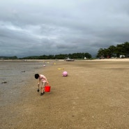 무안 홀통해수욕장 유원지 바닷가재 갯벌체험, 사람 적고 아이들 놀기 좋은 해변과 무료 캠핑장