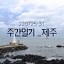 주간일기 _ 제주 (준비 ep02)