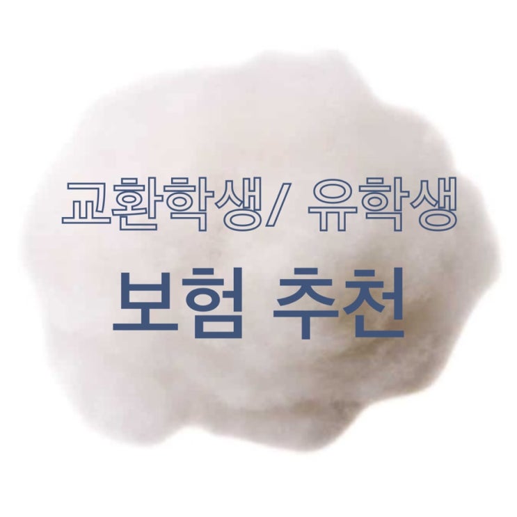 [보험] 교환학생 보험 추천/ 여행자 보험 추천/ 장기 여행자 보험/ 프랑스 교환학생 보험/ 유학생 보험 추천/ 인슈플러스 보험 ...