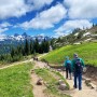 미국 시애틀 여행, 레이니어산 국립공원 날씨와 패러다이스인 숙소 주변 하이킹