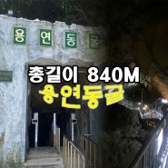 [강원도 여름휴가 갈 곳] 정말 시원한 전국 최고지대 용연동굴