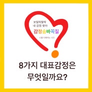 대표 감정이야기