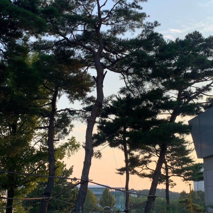 스포츠도전기4탄) 염주체육관 실내수영장 후기(수영강습/걷기운동/다이어트/식단관리) : 네이버 블로그 스포츠도전기4탄) 염주체육관 실내수영장 후기(수영강습/걷기운동/다이어트/식단관리) : 네이버 블로그