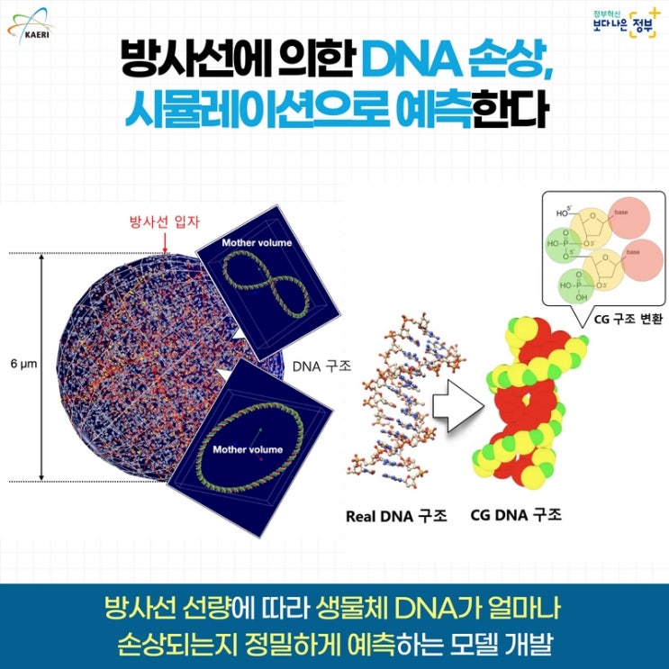 방사선에 의한 DNA 손상, 시뮬레이션으로 예측한다 : 네이버 블로그