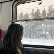 [스웨덴 여행] #1. 처음으로 스페인을 떠나 다른 나라로_기차에 기차를 타고 떠나는 멀고 먼 키루나까지의 여정