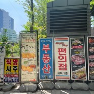 [광화문] 돈까스 맛집 / 왕돈까스에 스프, 김치찌개 / 혼밥