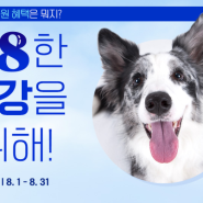마이펫플러스 8월의 동물병원 / 강아지 건강검진 프로모션