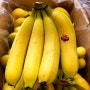 여름에 바나나 보관법