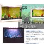한국여우 세계 지도 벽걸이 수족관 120 인테리어상품 가격762,890원