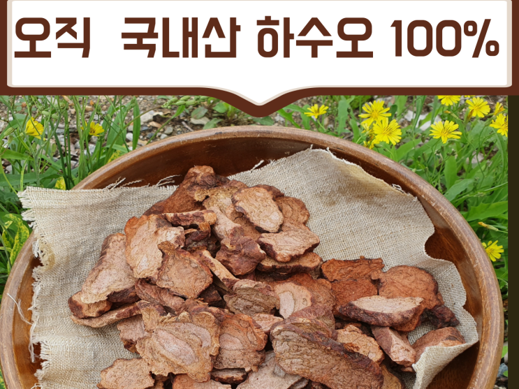 적하수오 효능과 부작용 하수오 백수오 차이점 알아보기 : 네이버 블로그