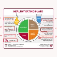 Healthy Eating Plate - 하버드대학
