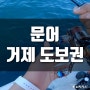 거제 문어 낚시 도보권 포인트