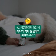 반려동물 관절영양제, 아이가 먹지 않을까봐 걱정이라면? (feat.그린펫엔젯 조인트츄)