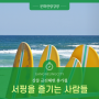 [랜선 강릉] 강릉 금진 해변 휴가철, 서핑을 즐기는 사람들