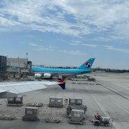 미국LAX-한국 입국 후기 (아시아나 OZ201 2층)