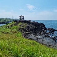 [제주 가볼 만한 곳]제주 올레길 18코스 (삼양~닭모루~대섬)