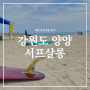 양양 서프살롱 물치해변 서핑 강습 후기