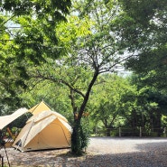 영월 새막골 캠핑장, 여름휴가로 떠난 한여름캠핑 (1)