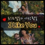 포스트말론 노래 I Like You 가사 해석 달달한 사랑팝송