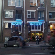 끝내주는 Bluebird Amsterdam 4