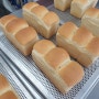 제빵기능사 4주차(2) - 옥수수식빵