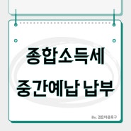 종합소득세 중간예납 납부기한 및 분납 조회방법