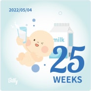 임신일기 - 임신중기(25주~27주)