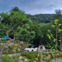 단양 캠핑장 소백산 계곡 우니메이카 단양점