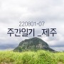 주간일기 _ 제주살이 ep02