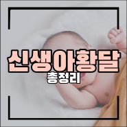 신생아 황달 총정리