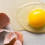 하루 달걀 한 개의 다양한 건강 효과