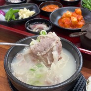 마산 돼지국밥 맛집, 깔끔한 돼지국밥 중 창원 전체 베스트맛집